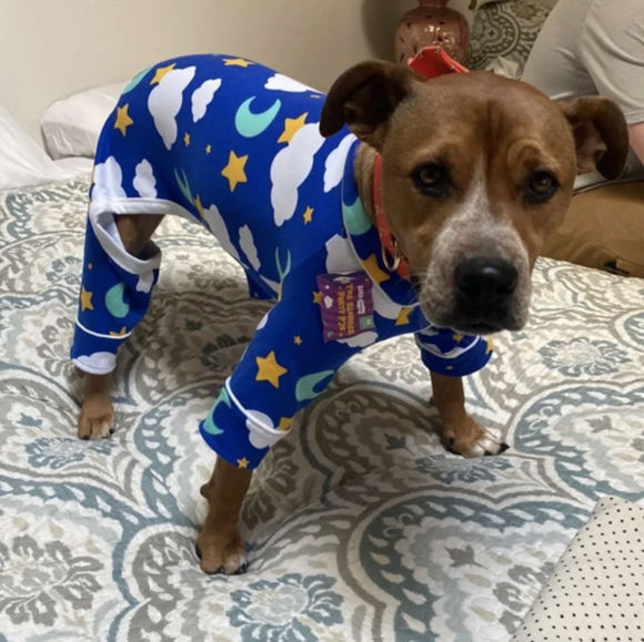 Everything Pets Posh Party on Poshmark